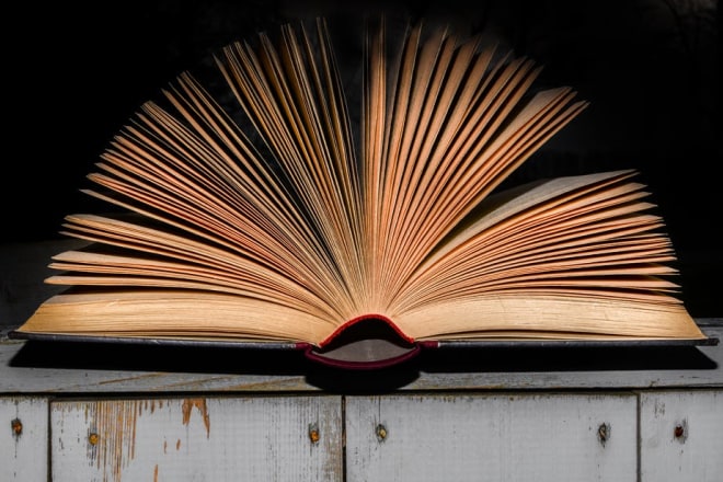I will help you write a great book proposal