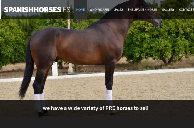 I will horse selling website development