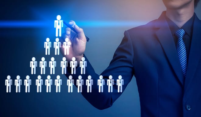 I will make all kind of MLM software
