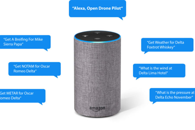 I will make custom alexa skill for you