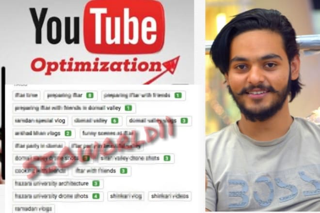 I will optimise and rank youtube videos