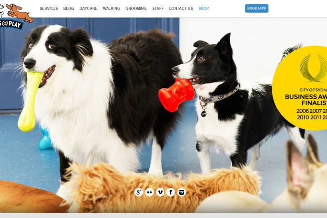 I will pet service dog service cat service website