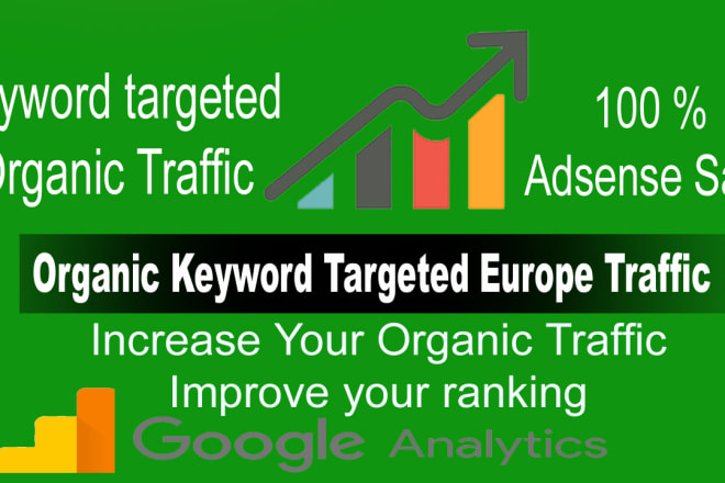 I will send safe organic europe traffic