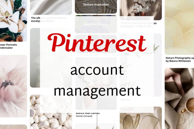 I will set up or optimize your pinterest business account, pins and boards