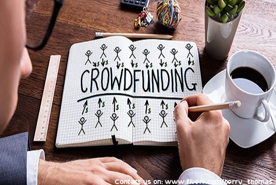 I will setup and promote indiegogo or any crowdfunding campaign
