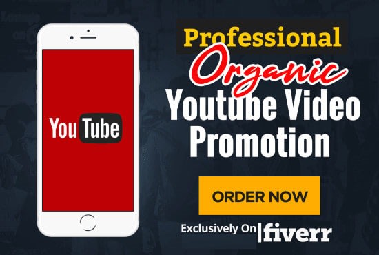 I will shoutout your youtube channel on 700k and grow youtub subs