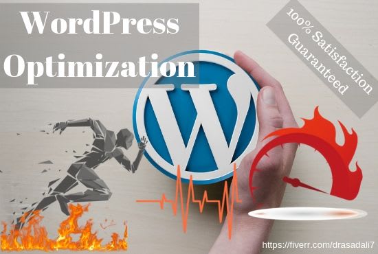 I will speed up wordpress website with gtmetrix