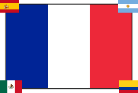 I will translate any text from spanish to french