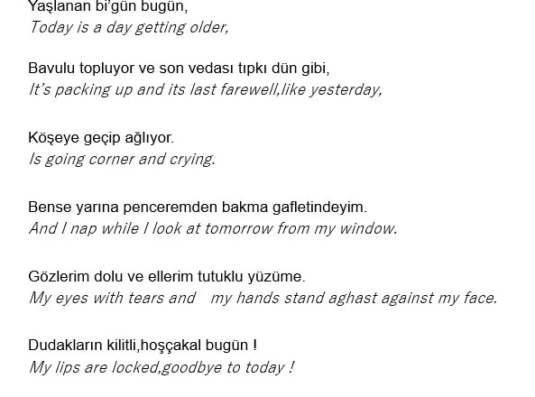 I will translate your texts from english to turkish