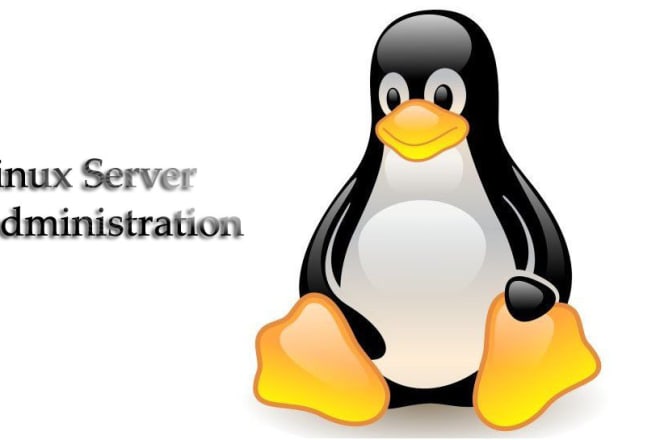 I will work as your linux server administrator