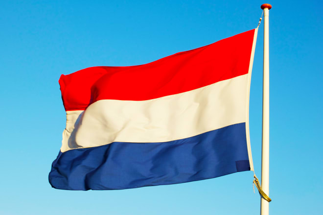 I will write and publish guest post on my dutch blog da40 with dofollow links