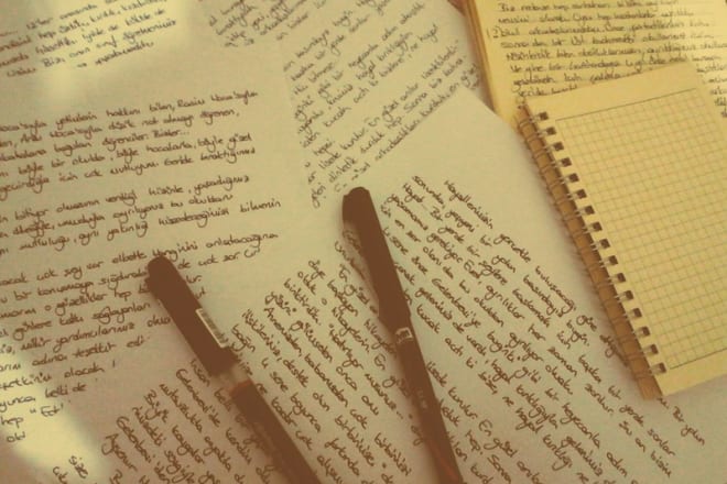 I will write french articles or blog post in 1 day
