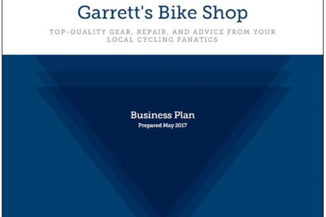 I will write you a complete business plan on liveplan