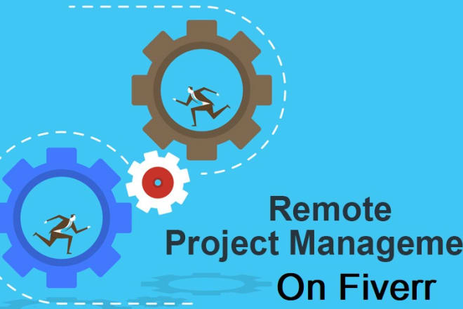 I will be your virtual project manager