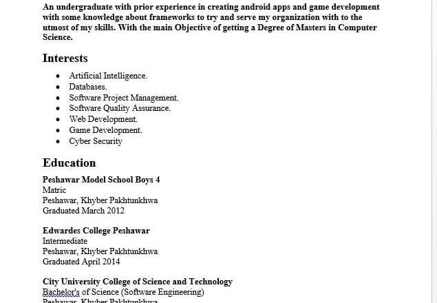 I will create a professional CV or resume