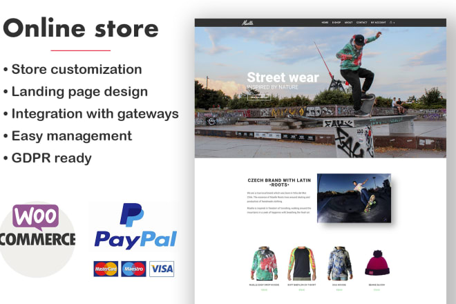 I will design a professional ecommerce website