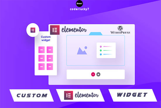 I will develop custom elementor widget or a custom plugin