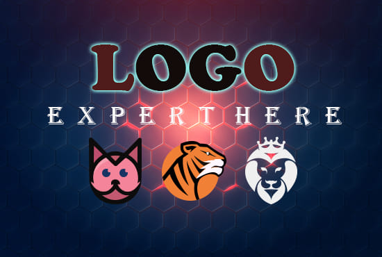 I will do excellent job for logo branding