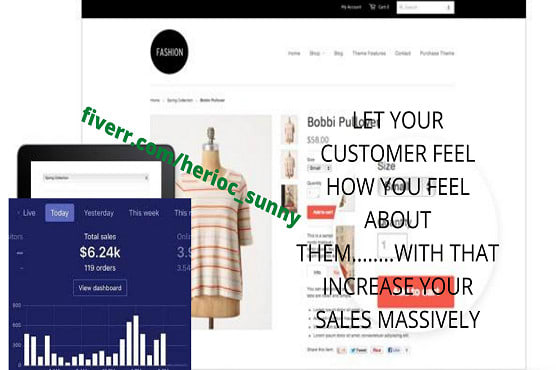 I will do high revenue shopify marketing, ecommerce marketing shopify promotion