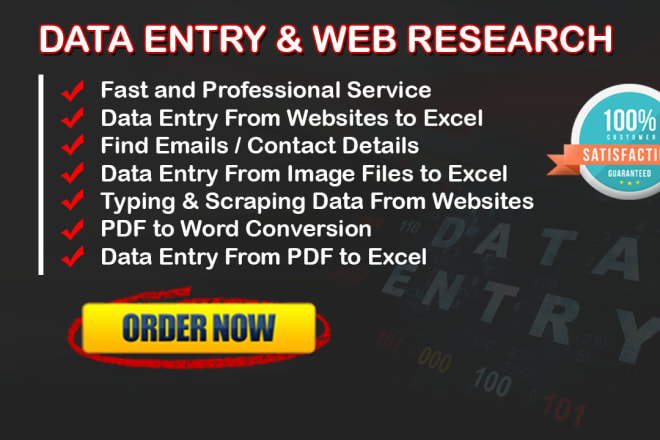 I will do perfect data entry job