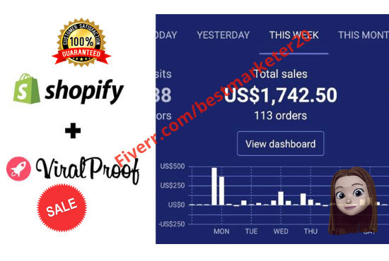I will do ROI sales guaranteed ecommerce marketing shopify marketing,traffc,promotion