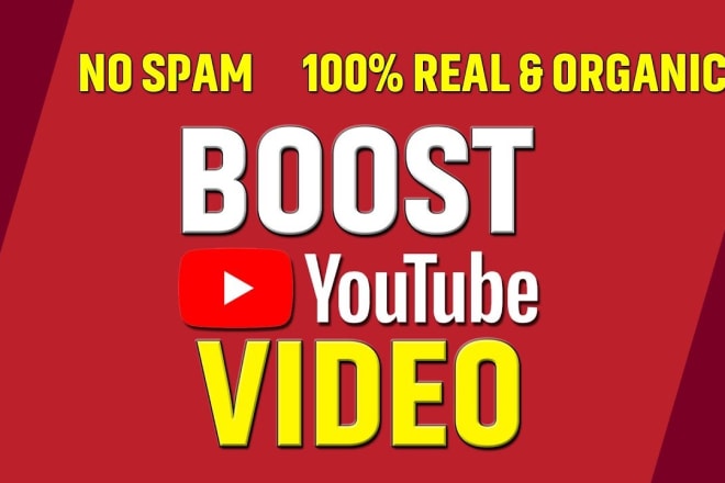 I will do super fast organic youtube promotion to active USA audience