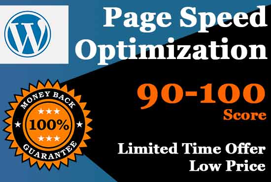 I will do your wordpress speed optimization page speed insight