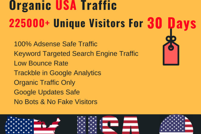 I will drive safe organic USA traffic from search engine