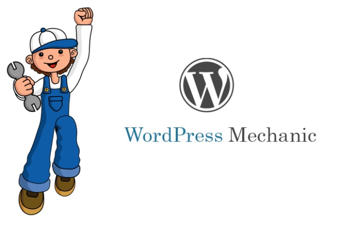 I will fix your wordpress problems