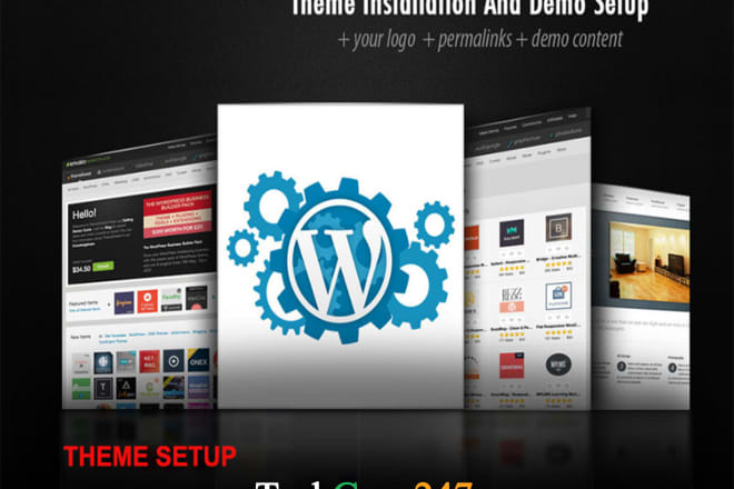 I will install and setup wordpress themes and plugins