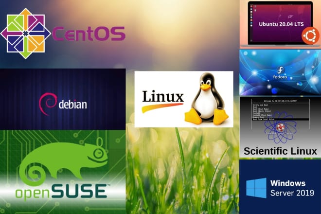 I will install centos 7,8, ubuntu, debian, kali linux, windows server