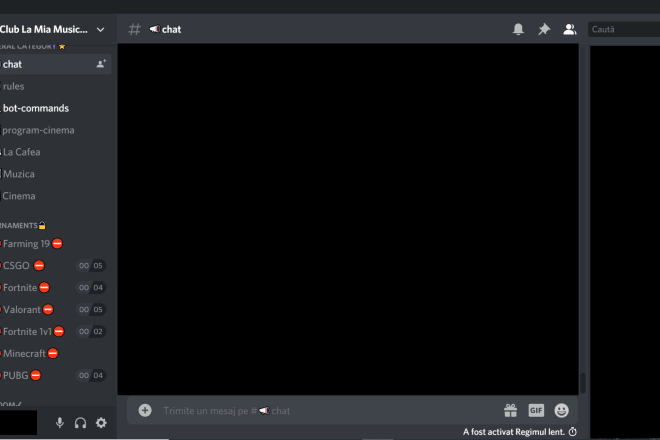 I will professionally make you a discord server