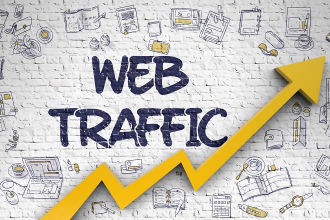 I will send you a real traffic to your website