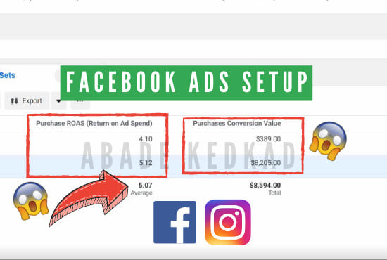 I will setup and launch your facebook ad campaigns