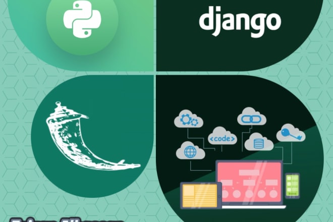 I will build professional django, flask app or python script
