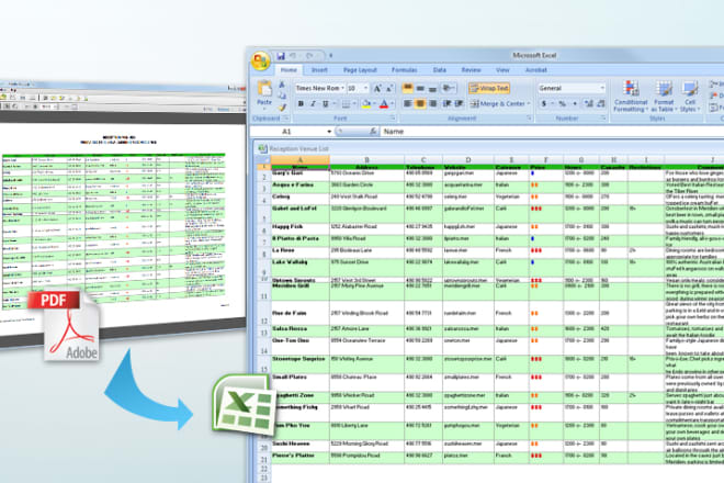 I will convert pdf to excel