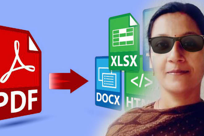 I will convert PDF to excel