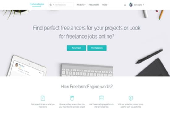 I will create micro job marketplace website with passive income in wordpress