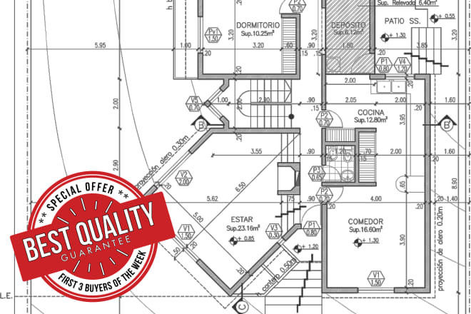 I will create professional architectural drawings