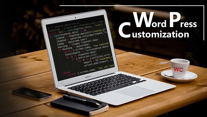 I will customize, design wordpress website, theme or plugin