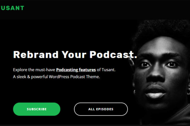 I will develop design online wordpress music podcast webiste,artist dj streamingwebsite