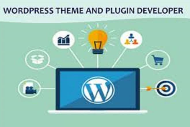 I will develop or customize wordpress plugin