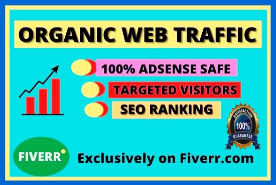 I will drive unique web traffic organically