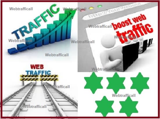 I will increase your website revenue through web traffic