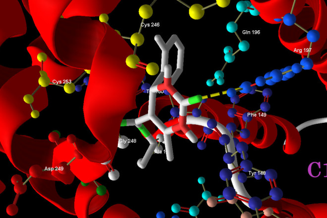 I will molecular docking and computational calculations