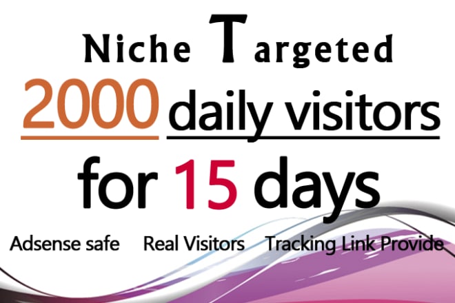 I will promote your website by sending unlimited niche targeted web traffic
