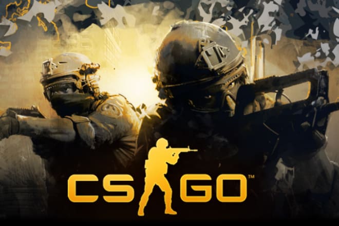 I will the best partner for you to play csgo