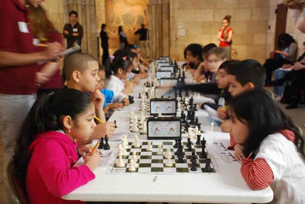 I will be your chess coachWill provide in detail tips to improve your game