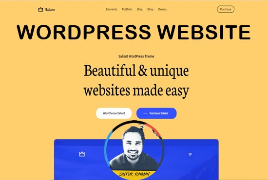 I will be your salient, porto wordpress theme expert