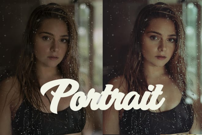 I will best portrait presets lightroom